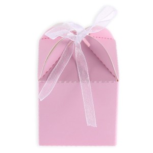 Geschenk Schachtel Pink mit Schleife 10 Stück